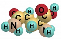 Bioquímica