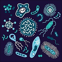 Microbiologia